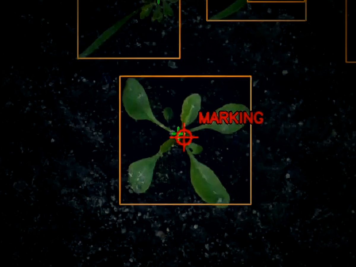 Camera view with a weed outlined and its growth point marked for the laser